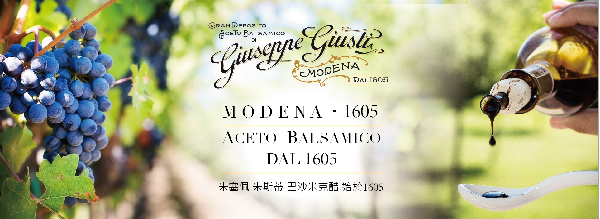 Giuseppe Giusti 朱斯蒂巴薩米克醋