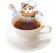 CAT CAFE 大吉嶺茶 DARJEELING TEA